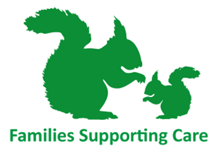 Families Supporting Care